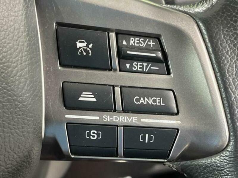 FORESTER-4