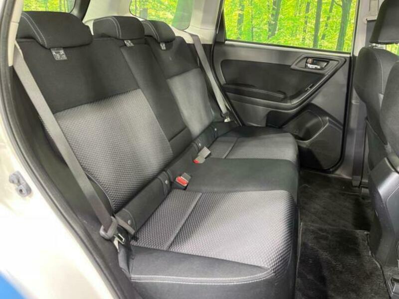 FORESTER-8