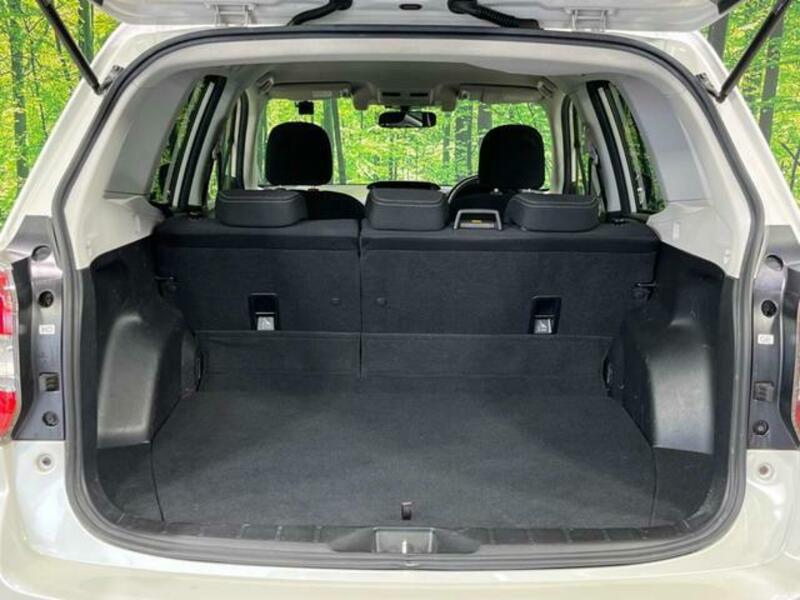 FORESTER-9