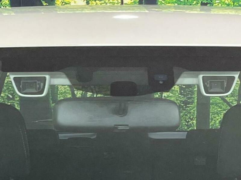 FORESTER-3