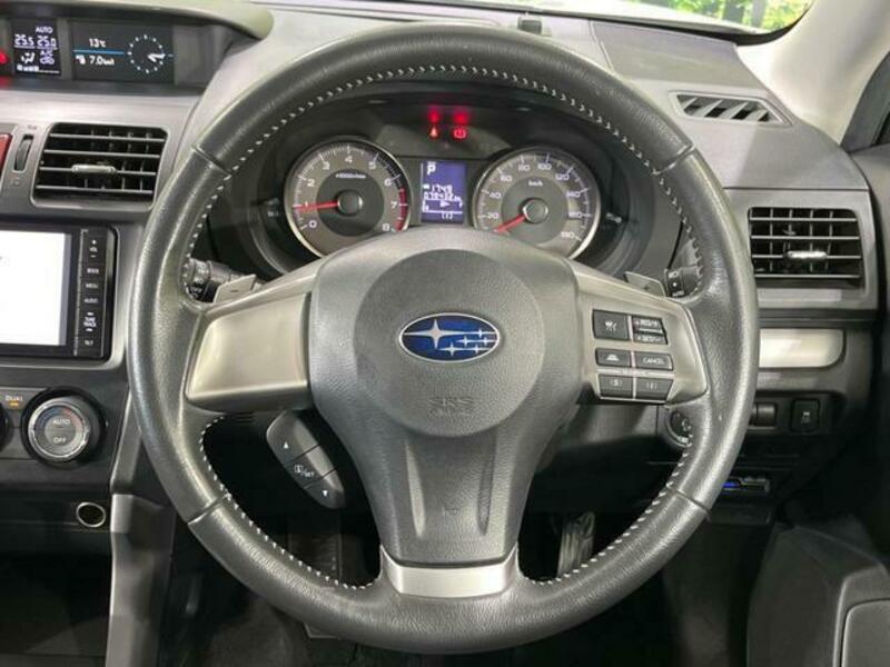 FORESTER-10