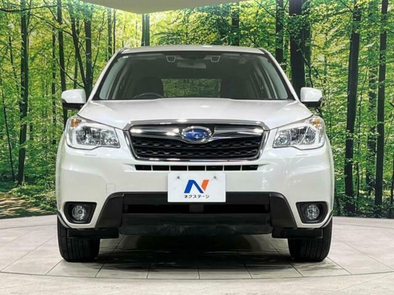 FORESTER-13