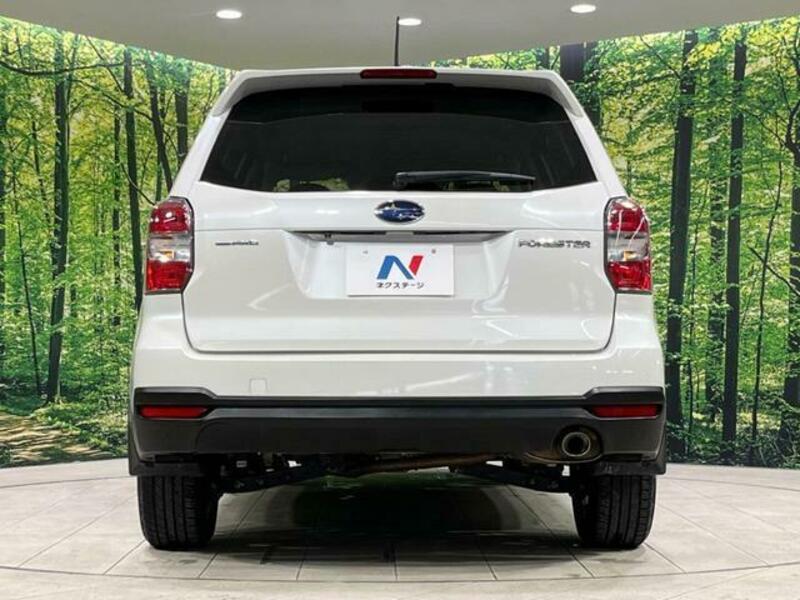 FORESTER-14