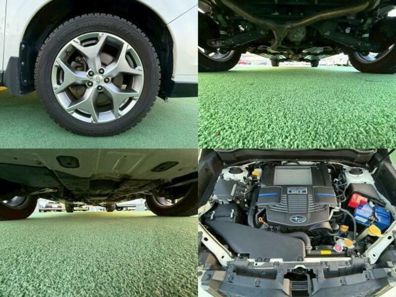 FORESTER-8