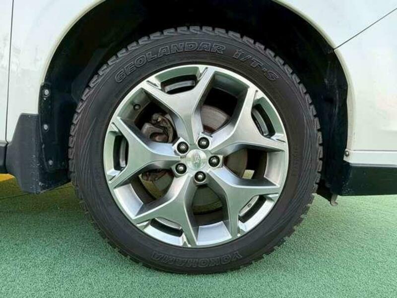 FORESTER-11