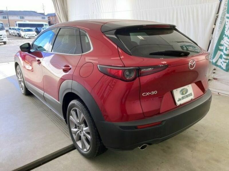 CX-30-1