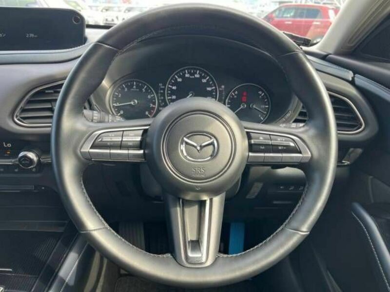 CX-30-10