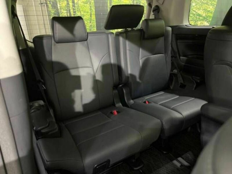 ALPHARD-10