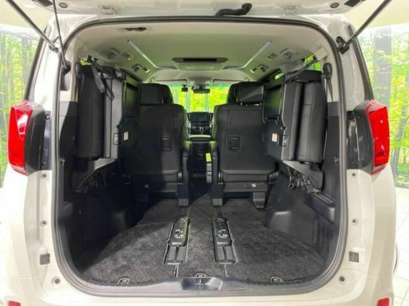 ALPHARD-11
