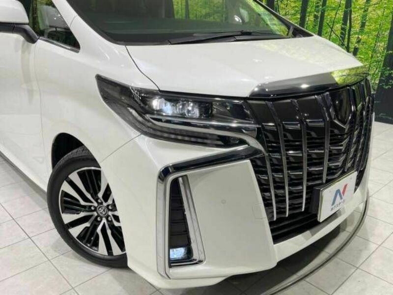 ALPHARD-14
