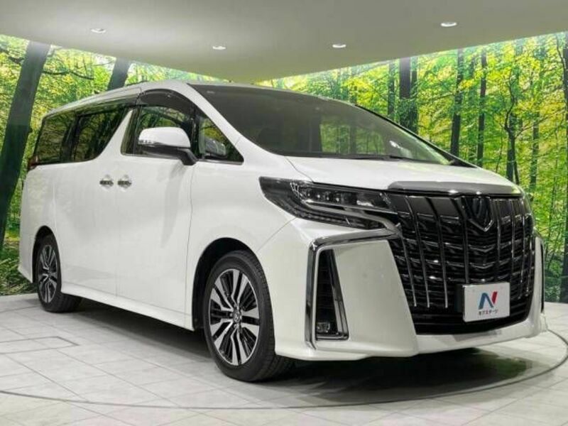 ALPHARD-17