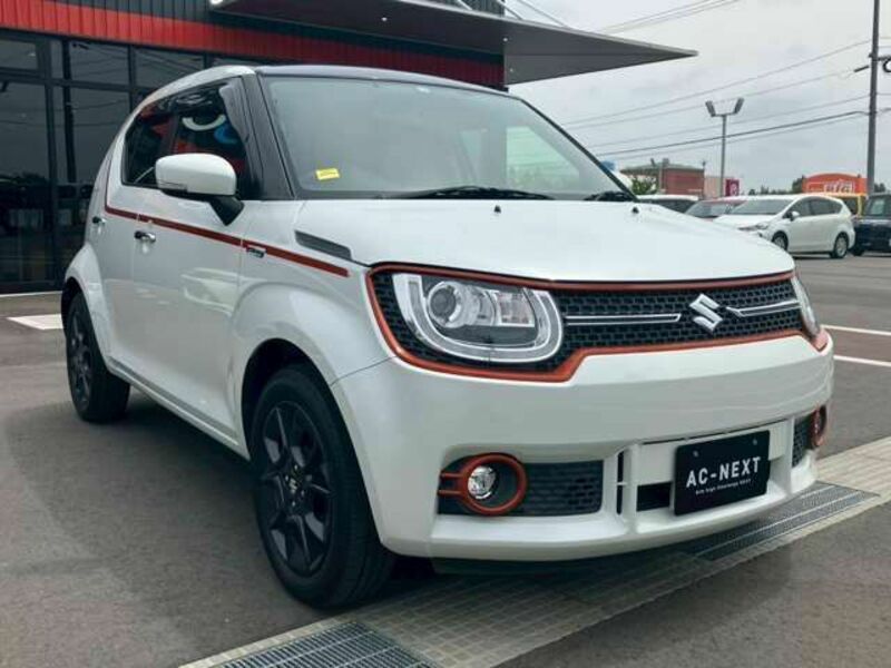 IGNIS-19