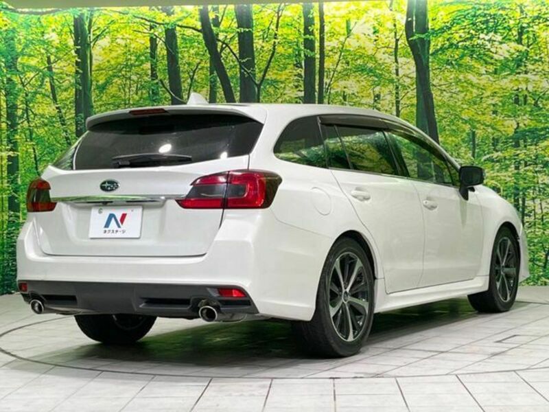 LEVORG