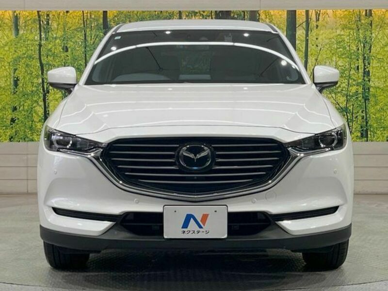CX-8