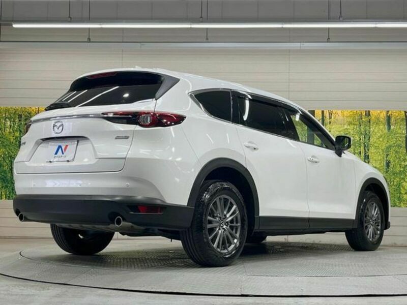 CX-8