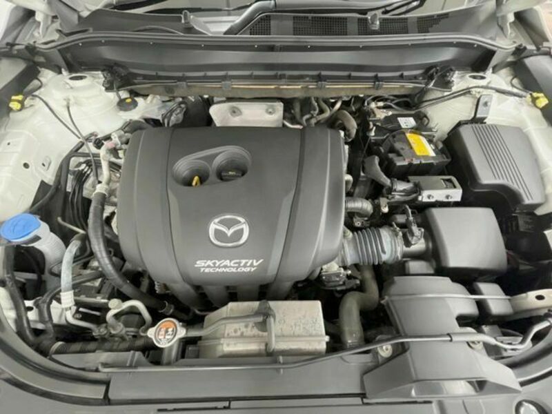 CX-8