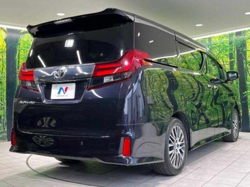 ALPHARD-17