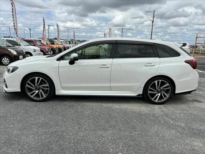 LEVORG