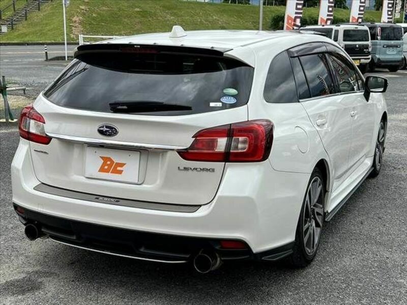 LEVORG