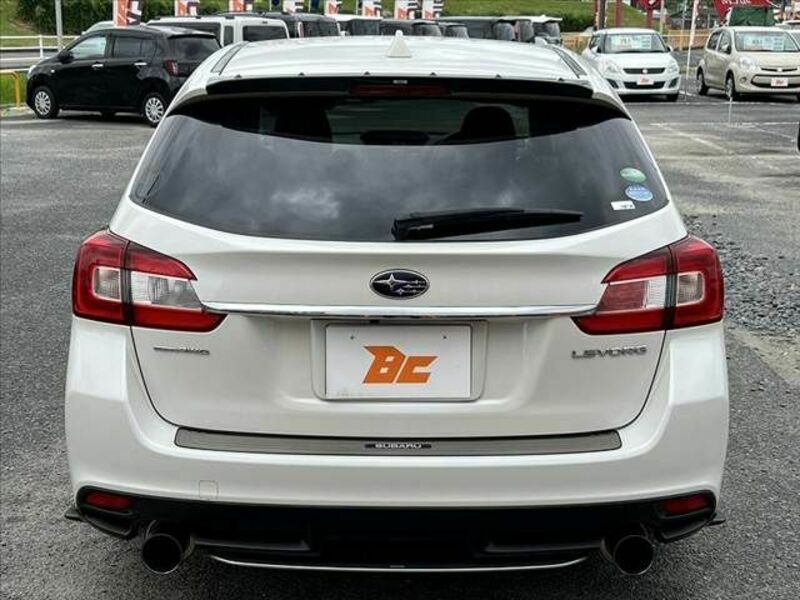LEVORG