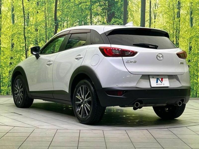 CX-3-17