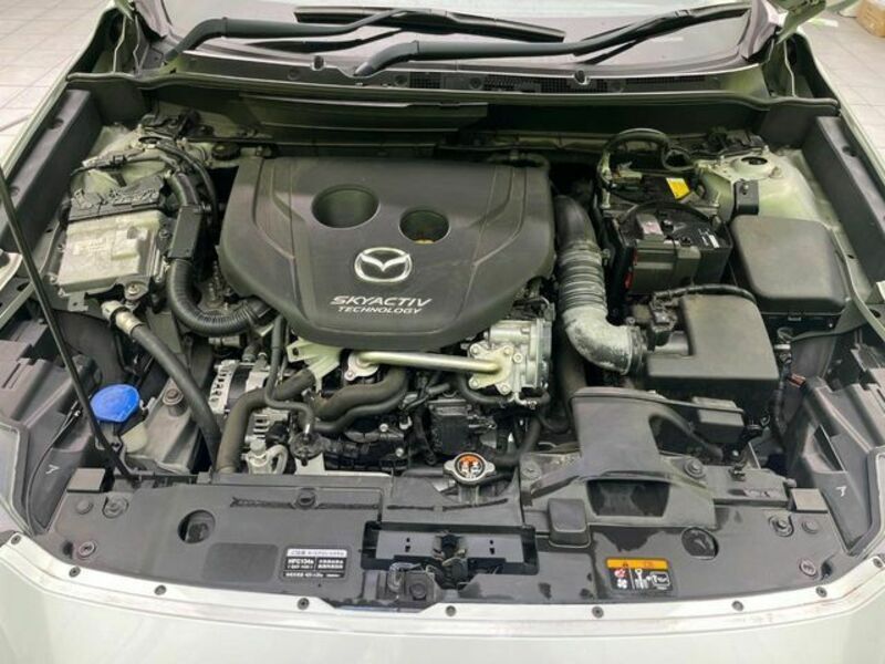 CX-3-18