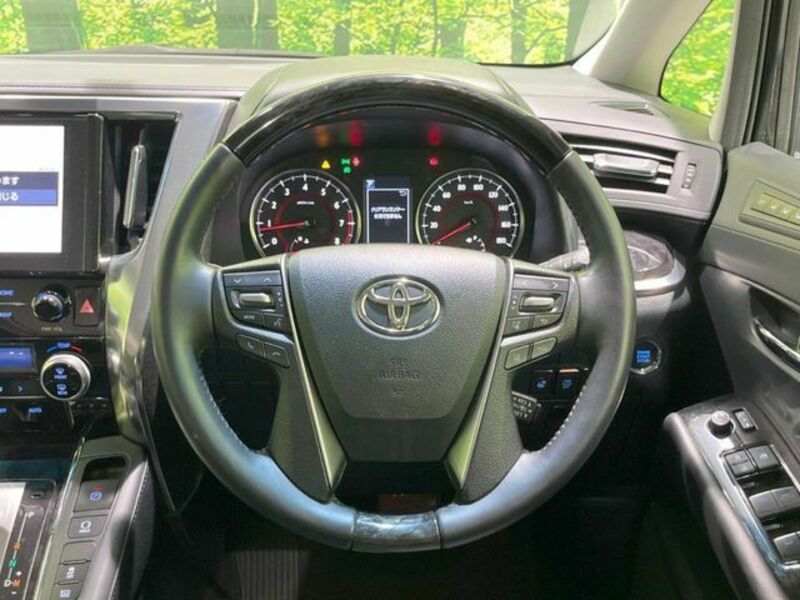 ALPHARD-8