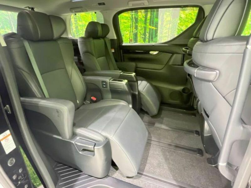 ALPHARD-10