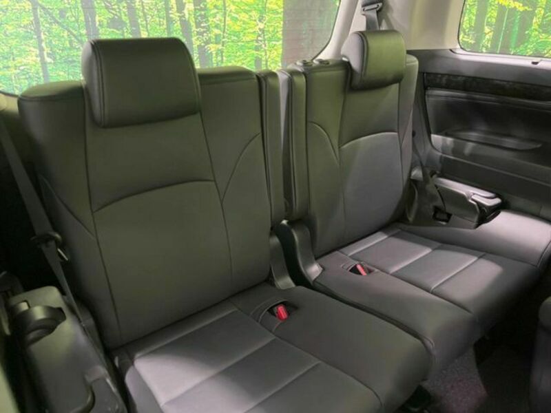 ALPHARD-11