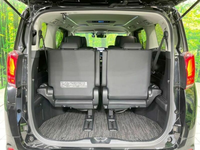 ALPHARD-12