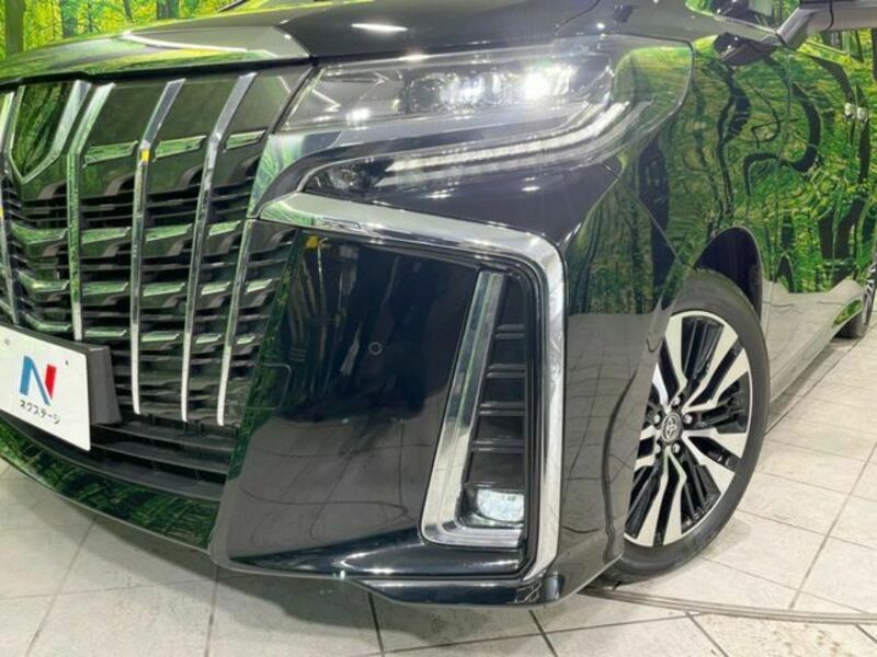 ALPHARD-13