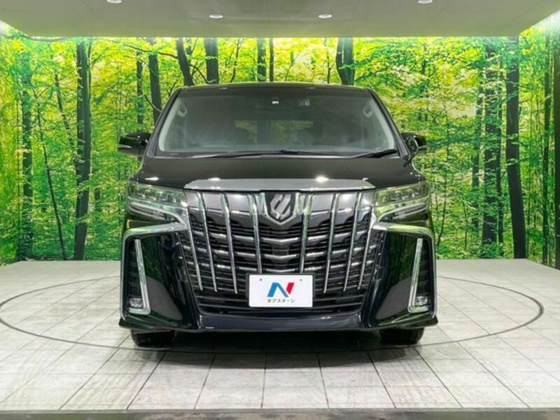 ALPHARD-15