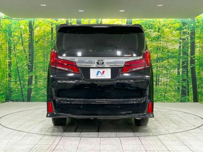 ALPHARD-16