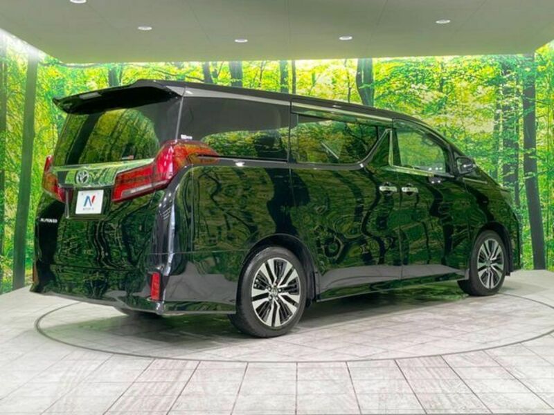 ALPHARD-18