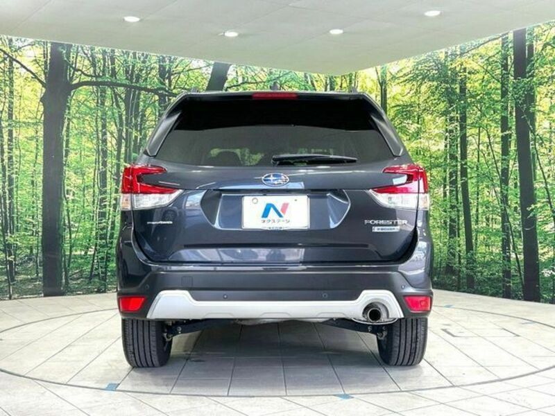 FORESTER