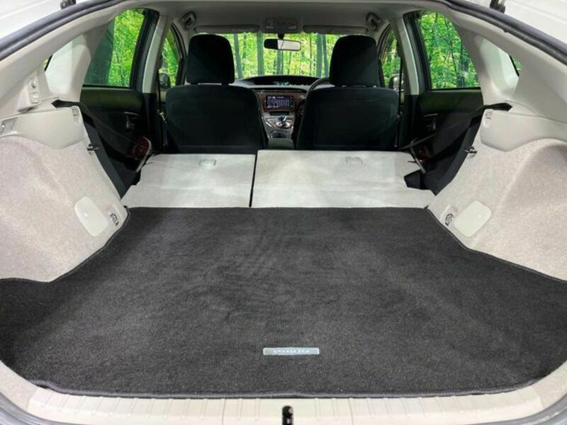 PRIUS-10