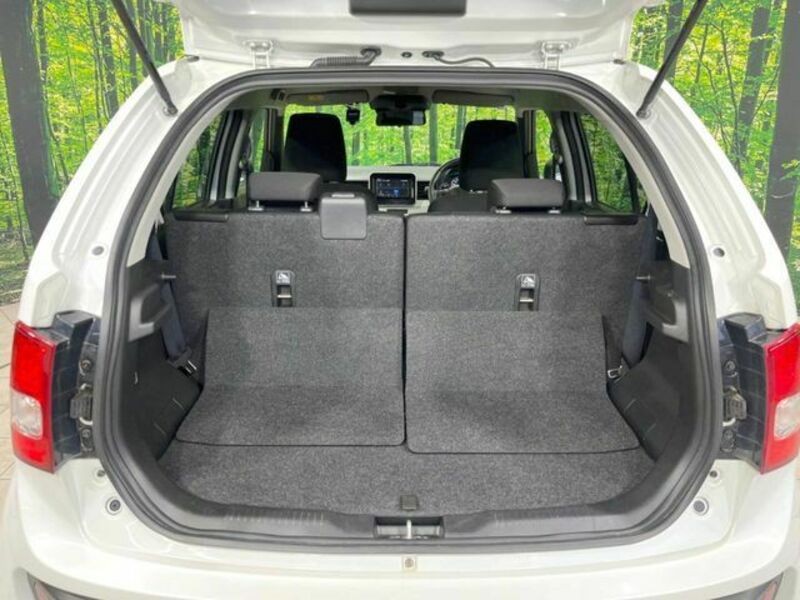 IGNIS-10