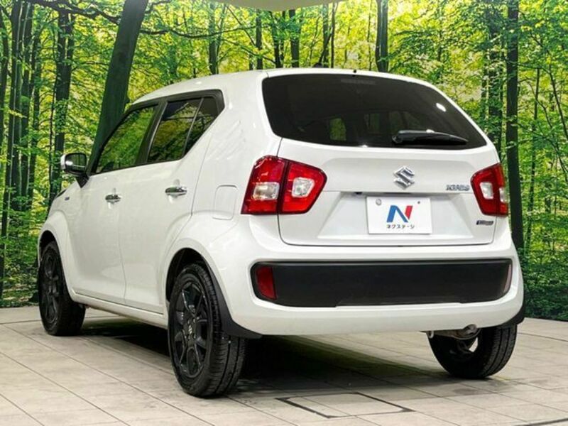 IGNIS-16
