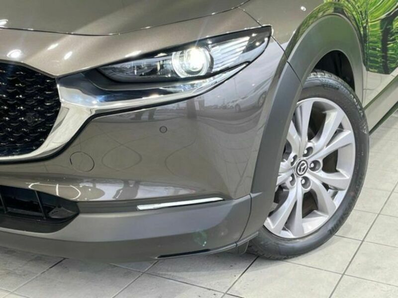 CX-30