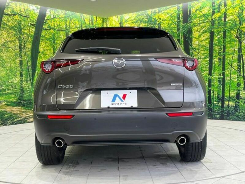 CX-30