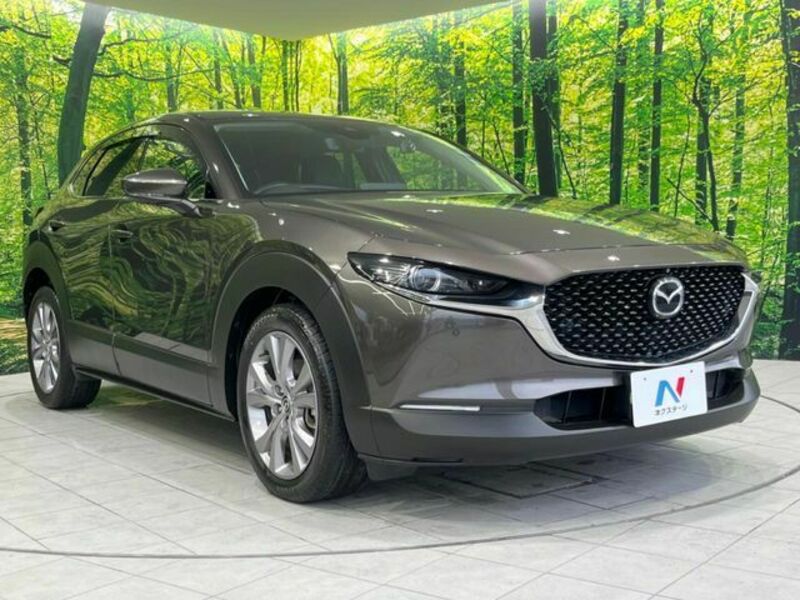 CX-30