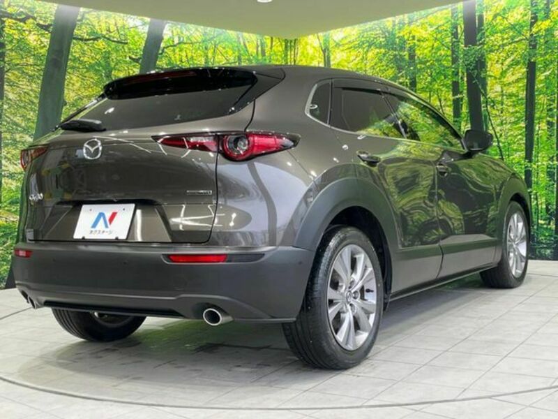 CX-30
