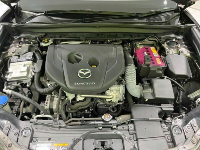 CX-30