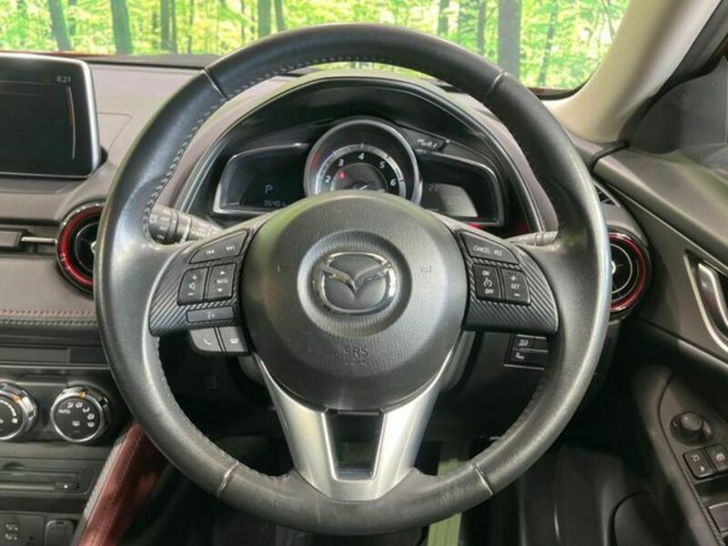CX-3-10