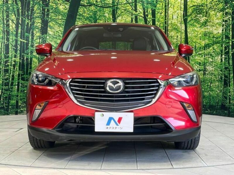 CX-3-13