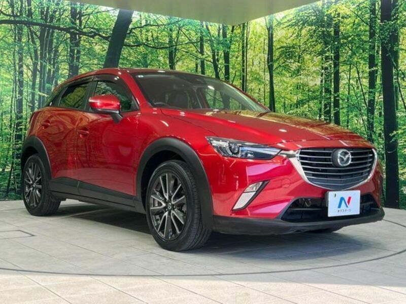 CX-3-15