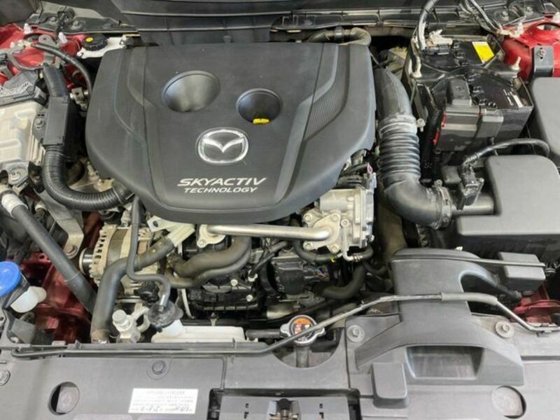 CX-3-17