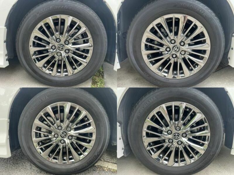 ALPHARD-6