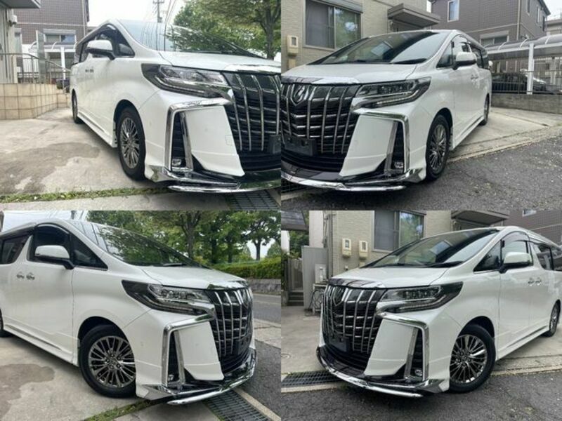 ALPHARD-8