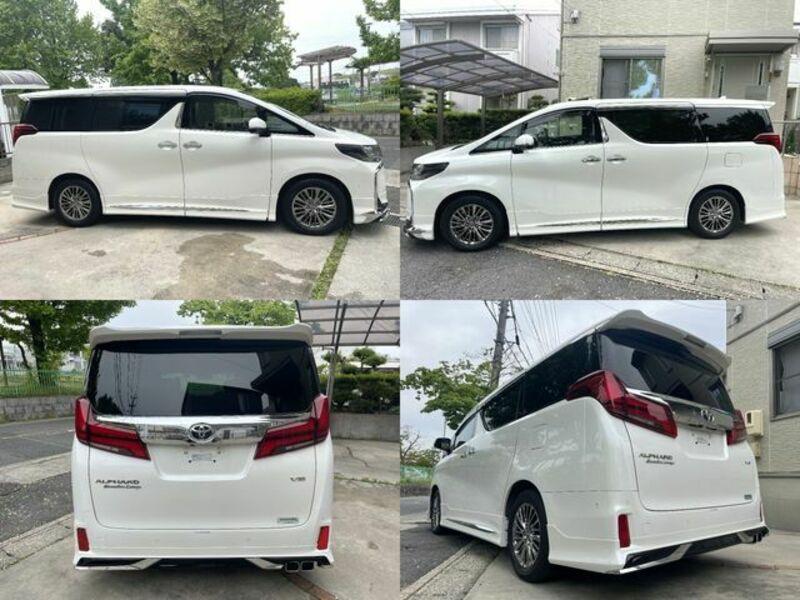 ALPHARD-10